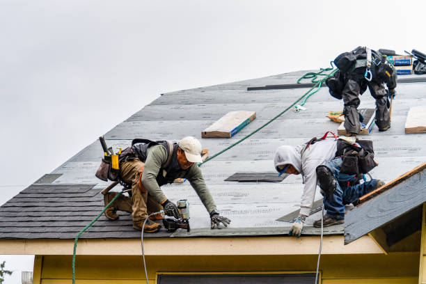 Professional Storm Damage Roof Repair technician working in Yale, IA